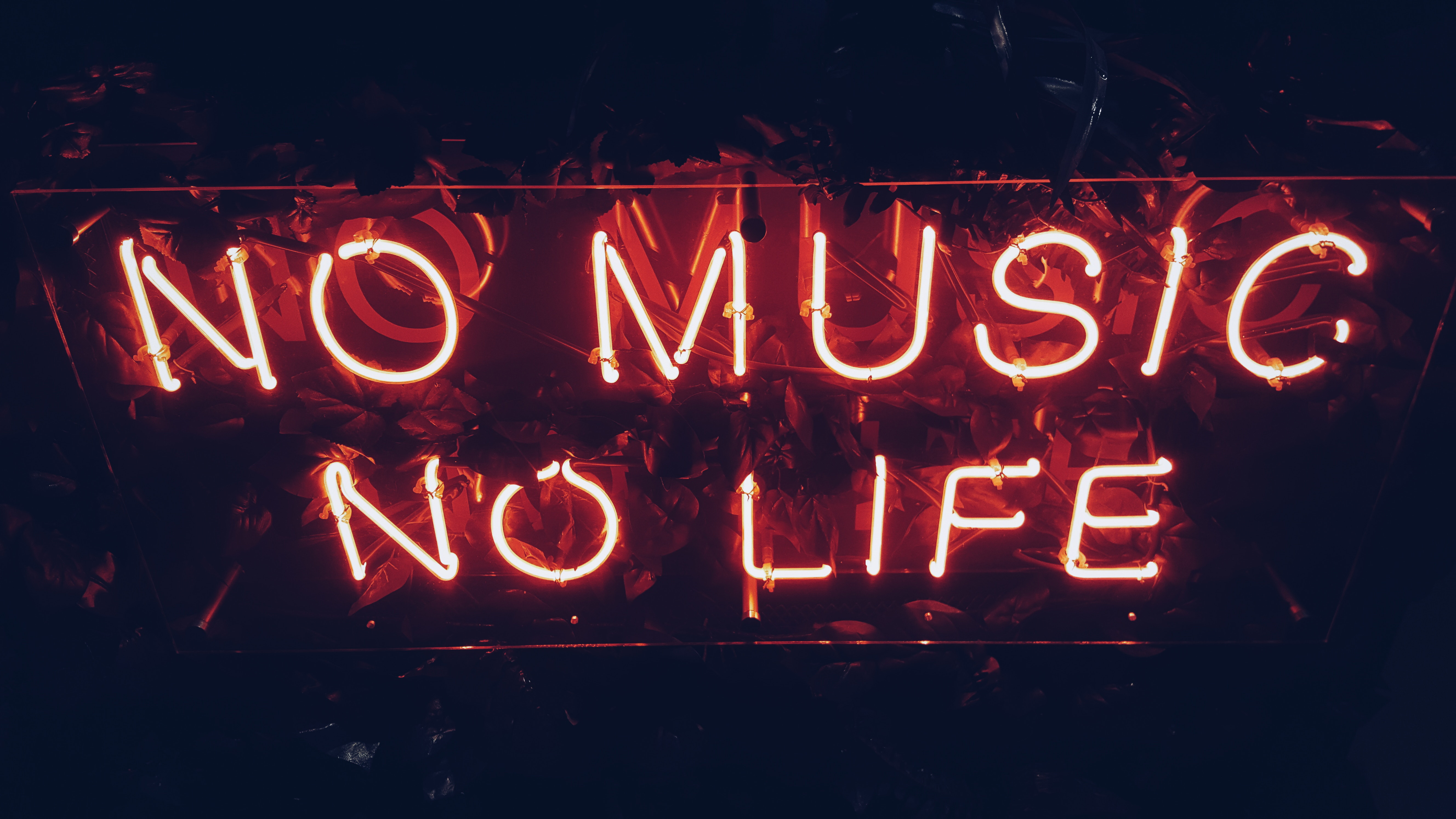 The top 10 tracks on MyMuze