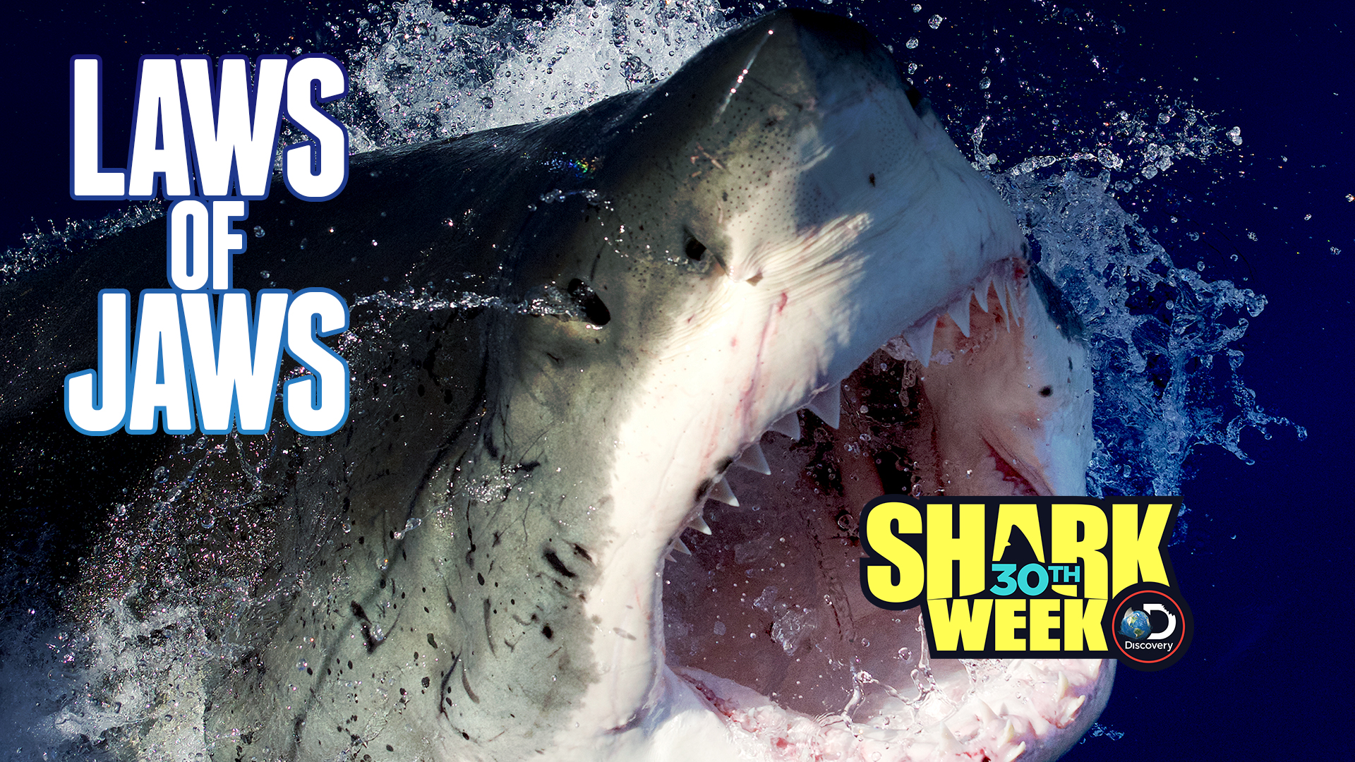 deep blue shark week