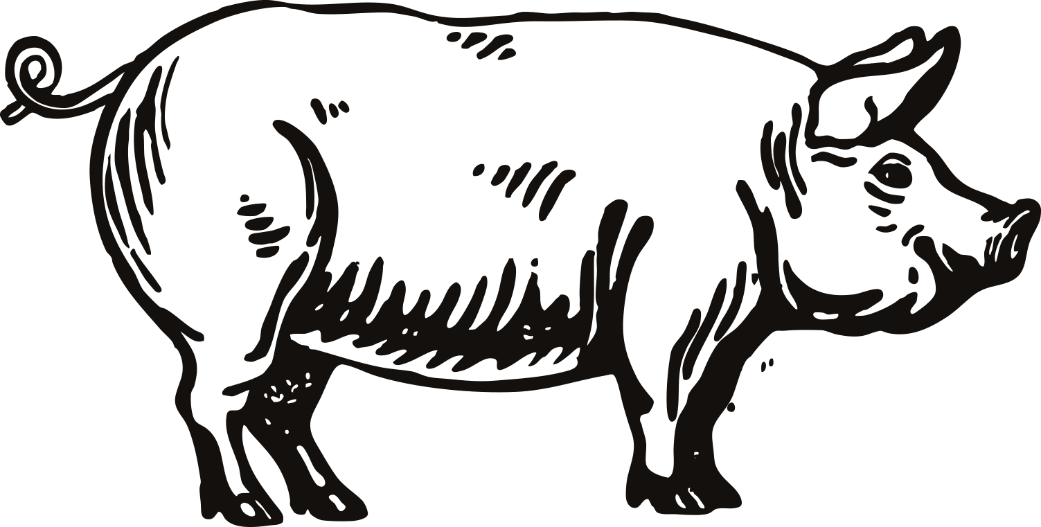 Pork